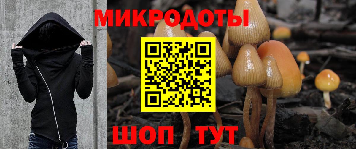 Галлюциногенные грибы GOLDEN TEACHER Назрань